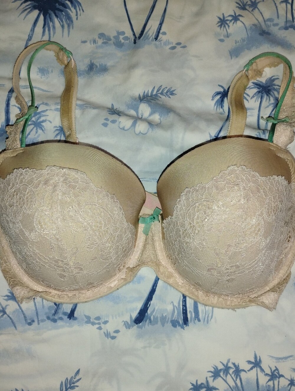 Victoria Secret Dream Angels Beige Lace Underwire Bra with Mint Accents 34DDD